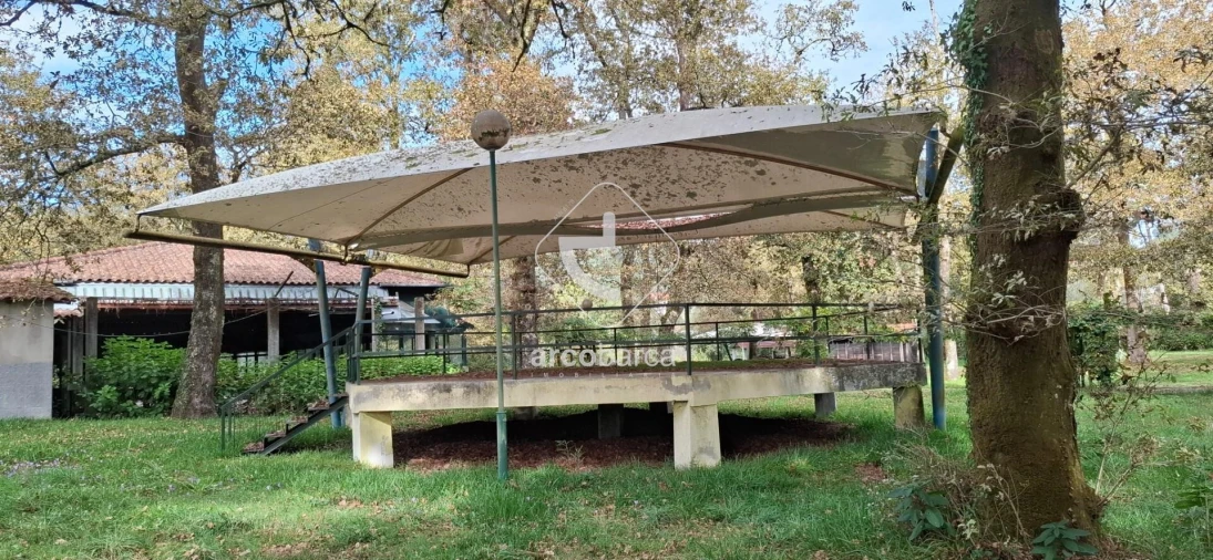 Negócio para Venda em Gemieira Foto 65