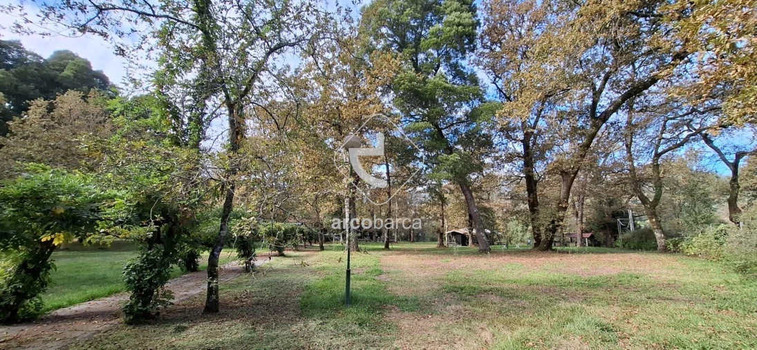 Negócio para Venda em Gemieira Foto 56