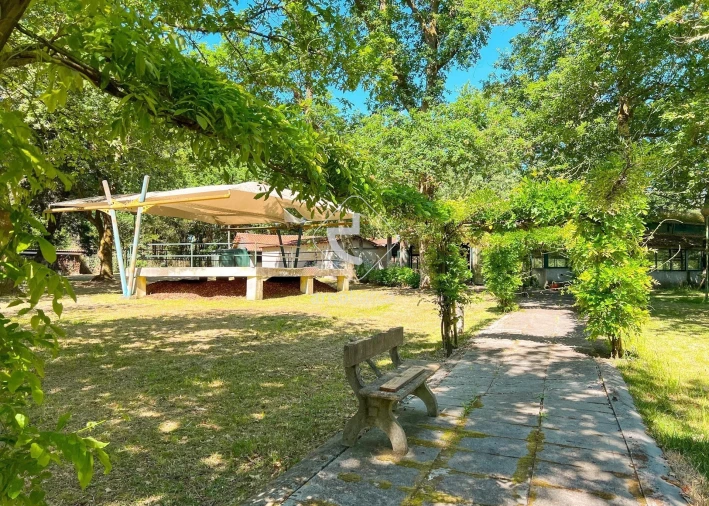 Negócio para Venda em Gemieira Foto 9