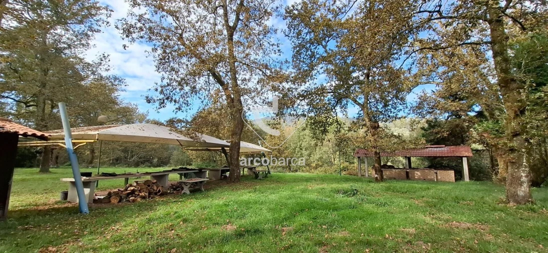 Negócio para Venda em Gemieira Foto 71