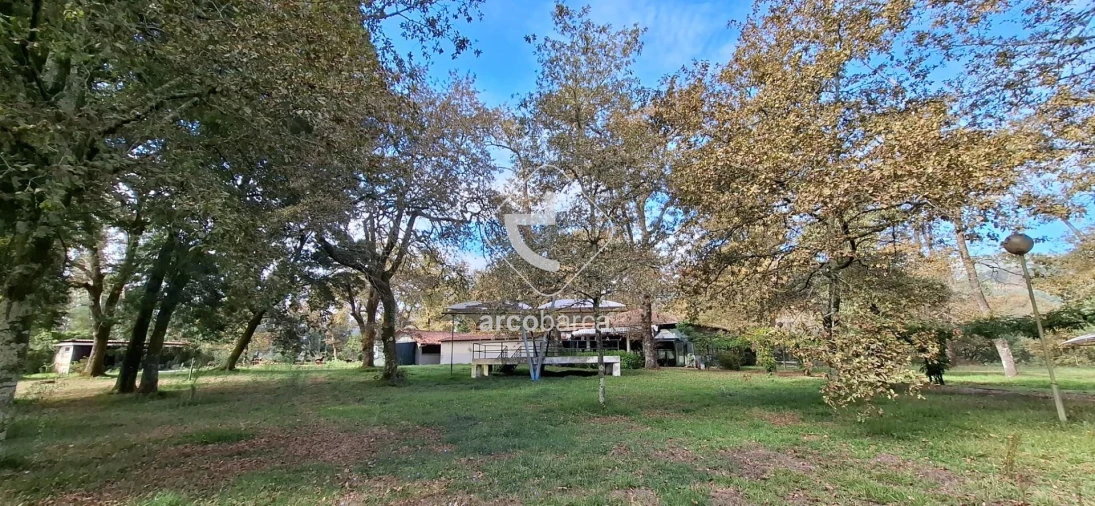 Negócio para Venda em Gemieira Foto 47