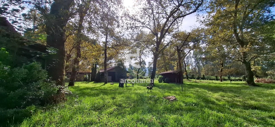 Negócio para Venda em Gemieira Foto 38