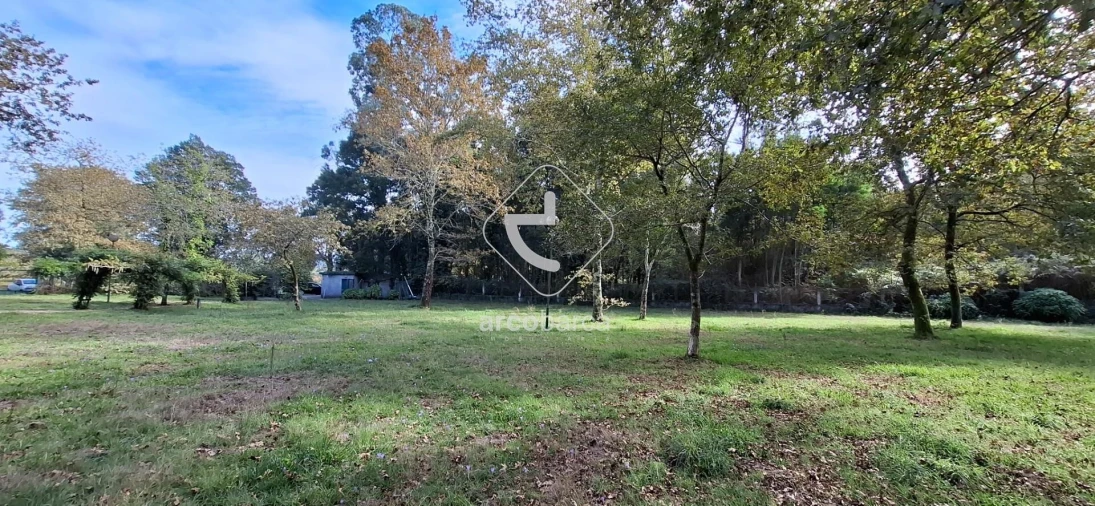 Negócio para Venda em Gemieira Foto 51