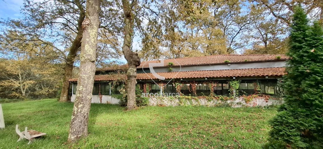 Negócio para Venda em Gemieira Foto 63