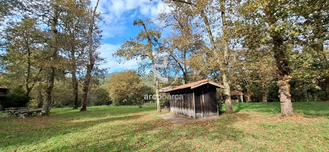 Negócio para Venda em Gemieira Foto 68