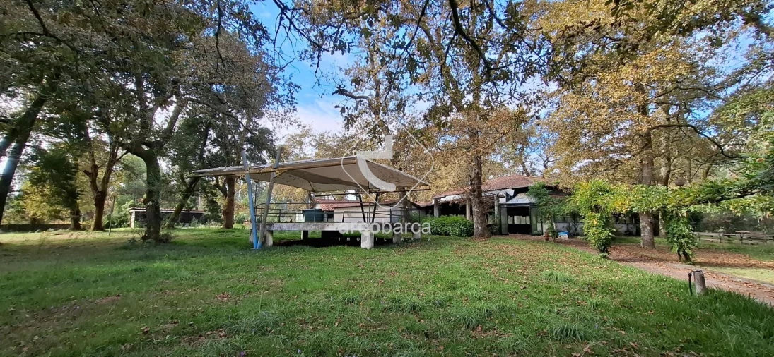 Negócio para Venda em Gemieira Foto 46