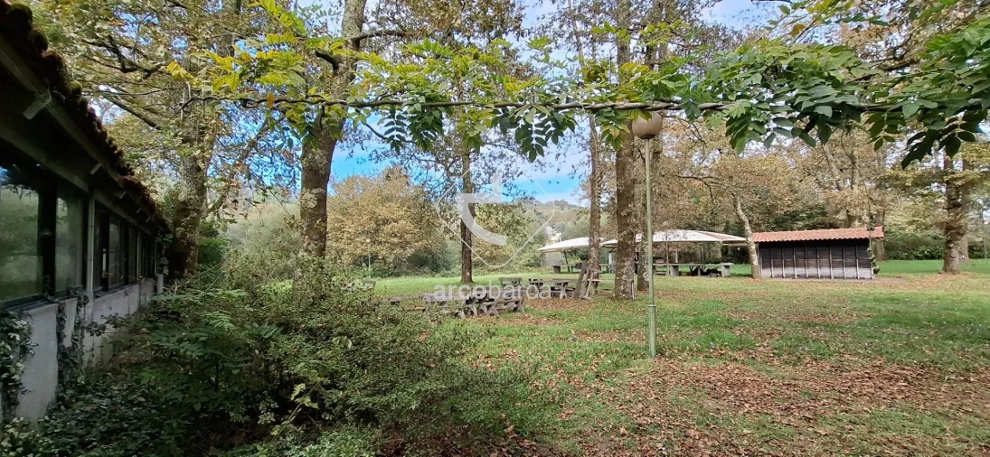 Negócio para Venda em Gemieira Foto 62