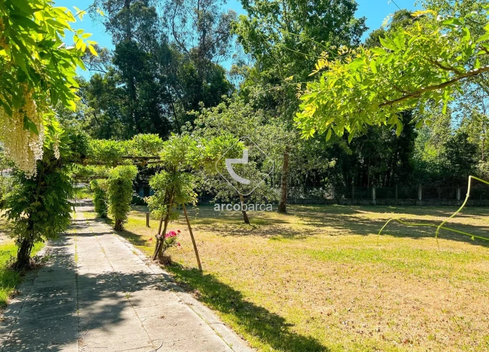 Negócio para Venda em Gemieira Foto 8