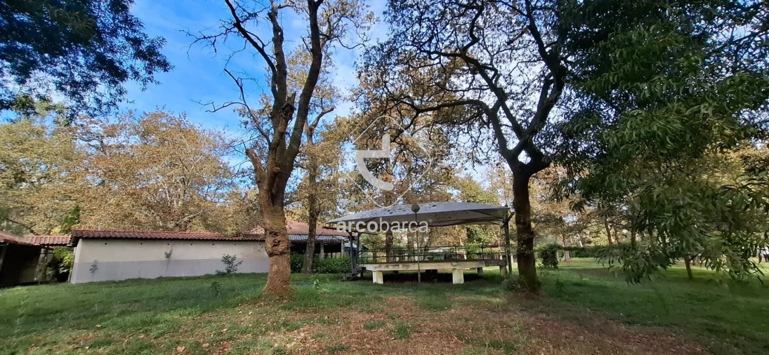 Negócio para Venda em Gemieira Foto 49