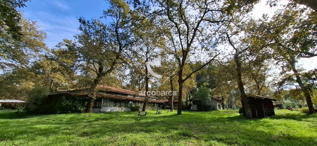 Negócio para Venda em Gemieira Foto 37