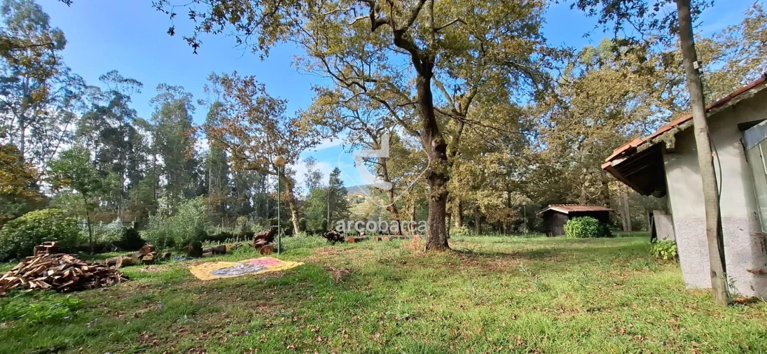 Negócio para Venda em Gemieira Foto 33