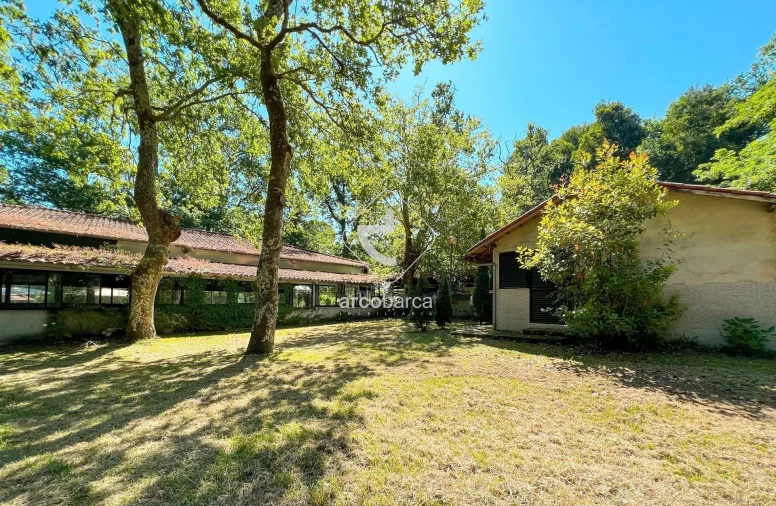 Negócio para Venda em Gemieira Foto 16