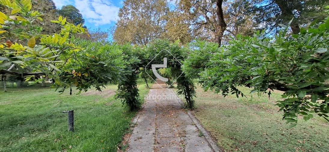 Negócio para Venda em Gemieira Foto 77