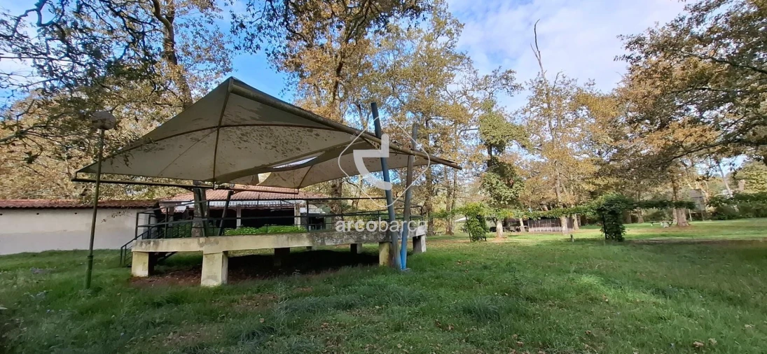 Negócio para Venda em Gemieira Foto 50