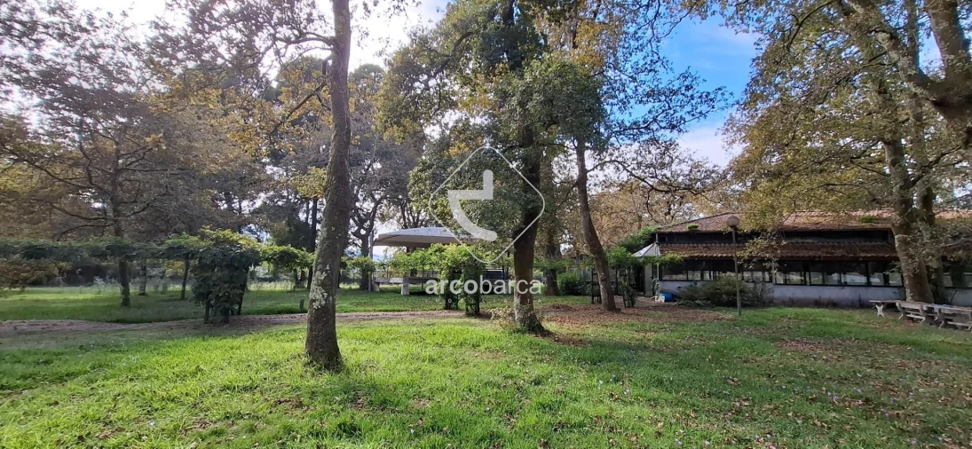 Negócio para Venda em Gemieira Foto 44