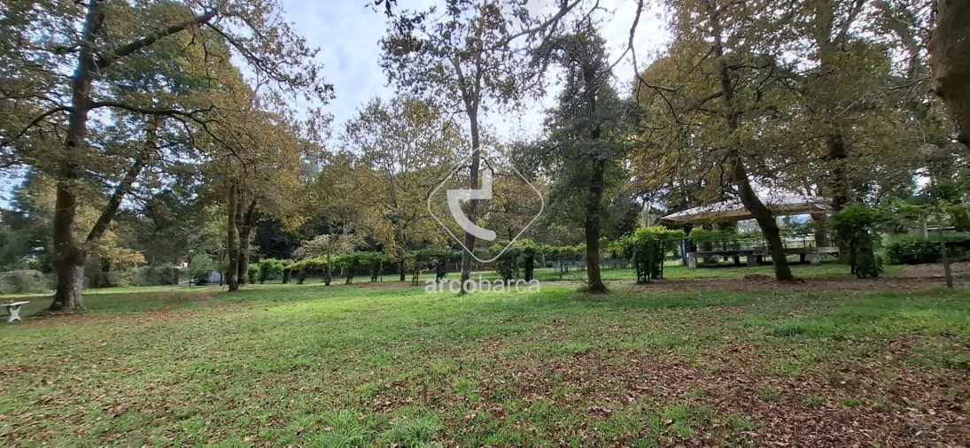 Negócio para Venda em Gemieira Foto 76