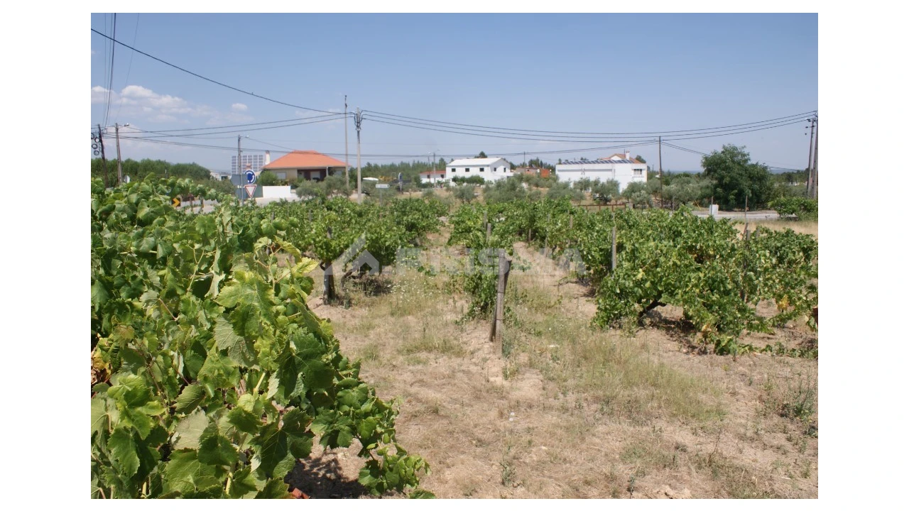 Terreno para Venda em Montes da Senhora Foto 3