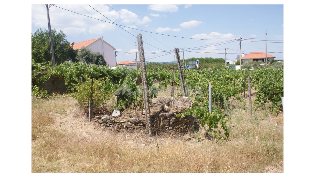 Terreno para Venda em Montes da Senhora Foto 6