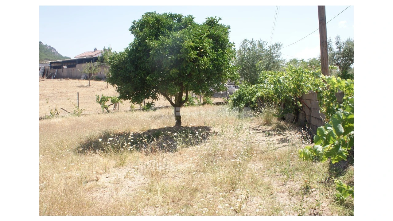 Terreno para Venda em Montes da Senhora Foto 4