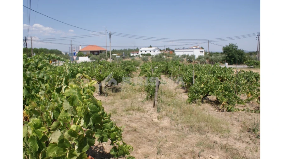 Terreno para Venda em Montes da Senhora Foto 3