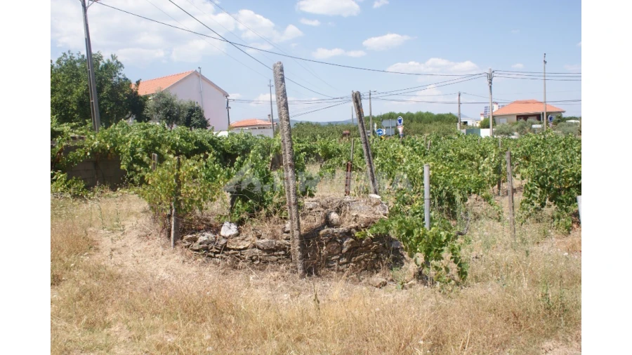 Terreno para Venda em Montes da Senhora Foto 6