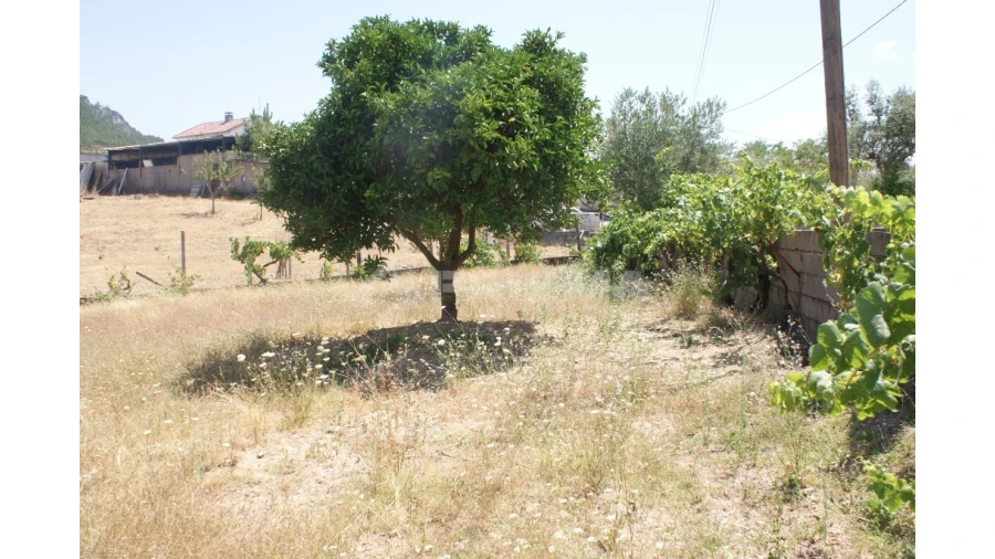 Terreno para Venda em Montes da Senhora Foto 4