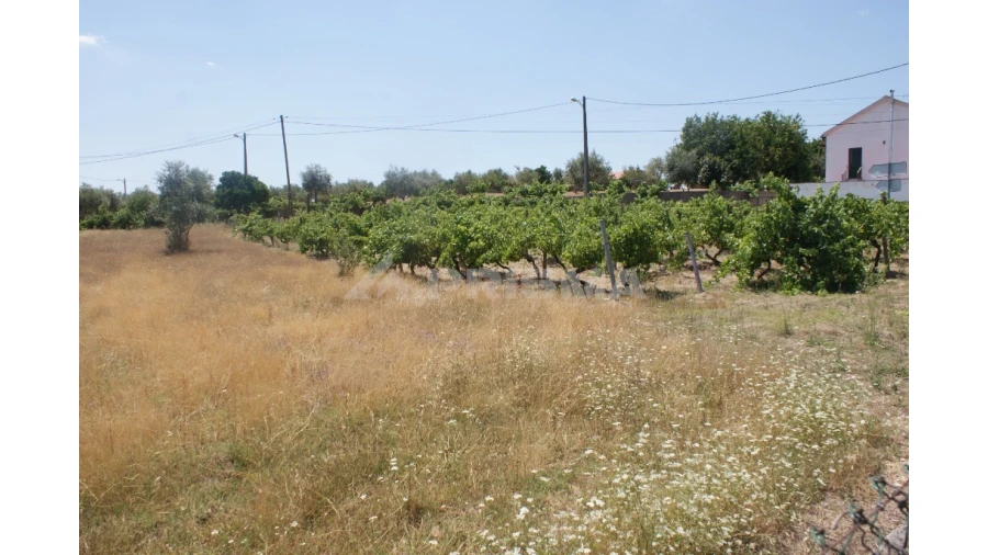 Terreno para Venda em Montes da Senhora Foto 5