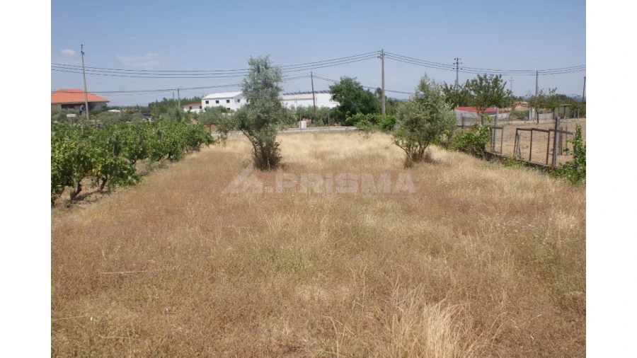 Terreno para Venda em Montes da Senhora Foto 9