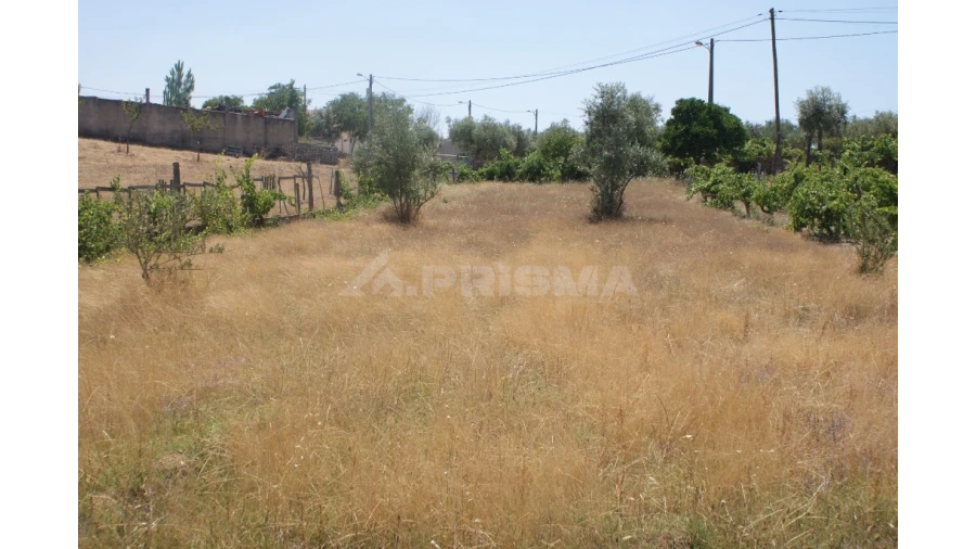 Terreno para Venda em Montes da Senhora Foto 10