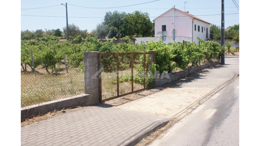 Terreno para Venda em Montes da Senhora Foto 2