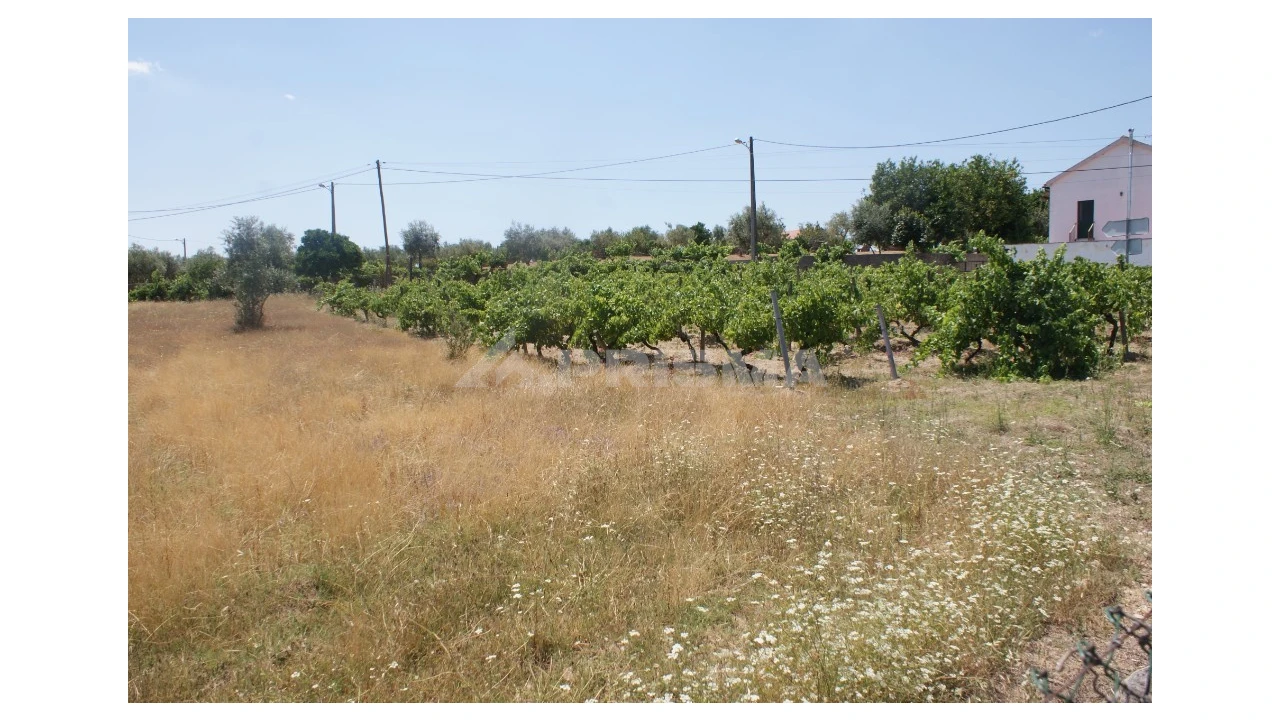 Terreno para Venda em Montes da Senhora Foto 5