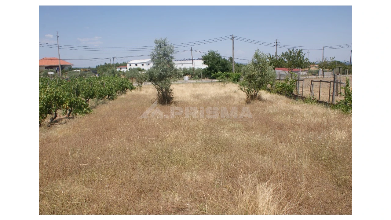 Terreno para Venda em Montes da Senhora Foto 9