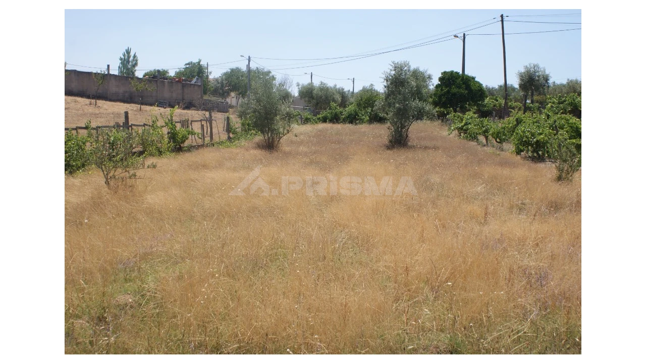 Terreno para Venda em Montes da Senhora Foto 10
