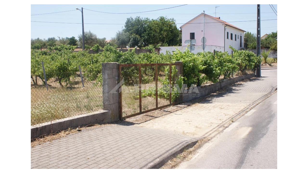 Terreno para Venda em Montes da Senhora Foto 2