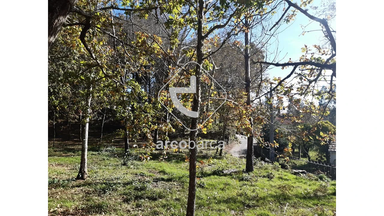 Terreno para Venda em Vascões Foto 1