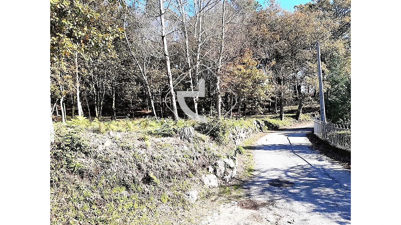 Terreno para Venda em Vascões Foto 12