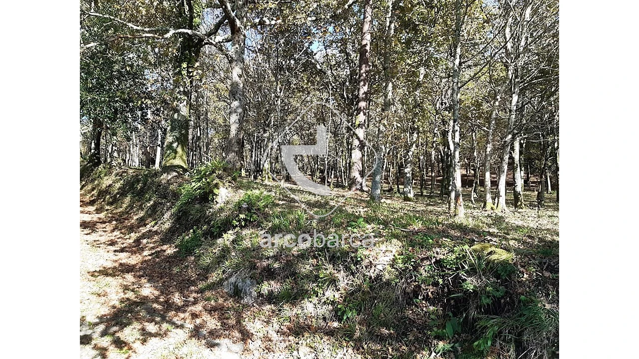 Terreno para Venda em Vascões Foto 13