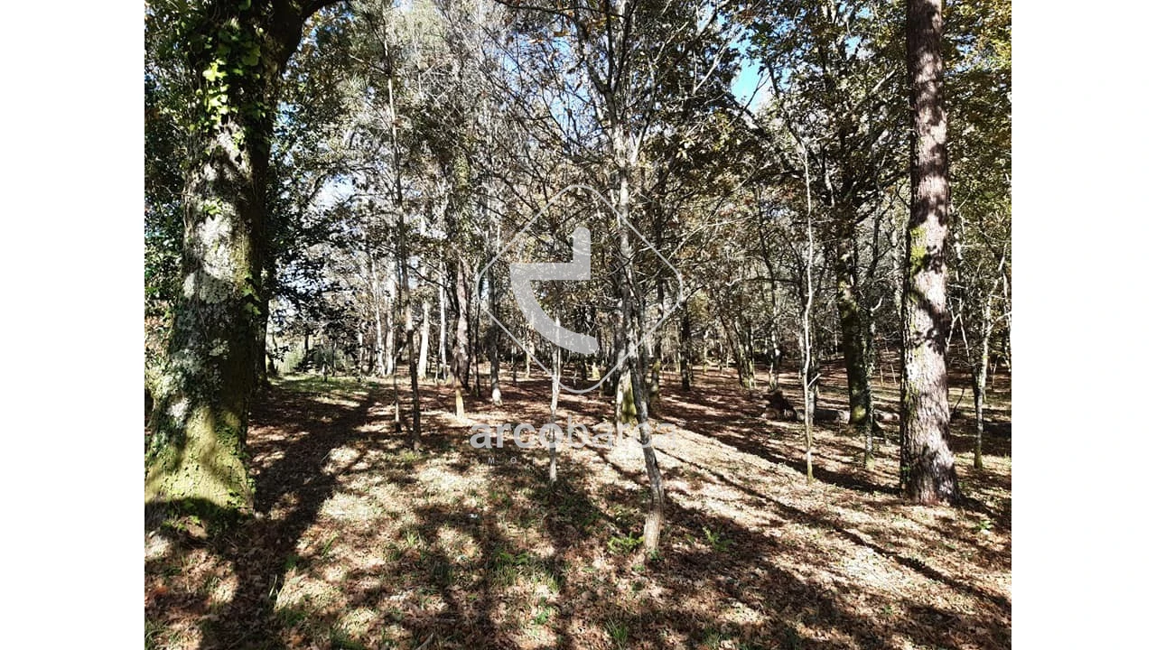 Terreno para Venda em Vascões Foto 5