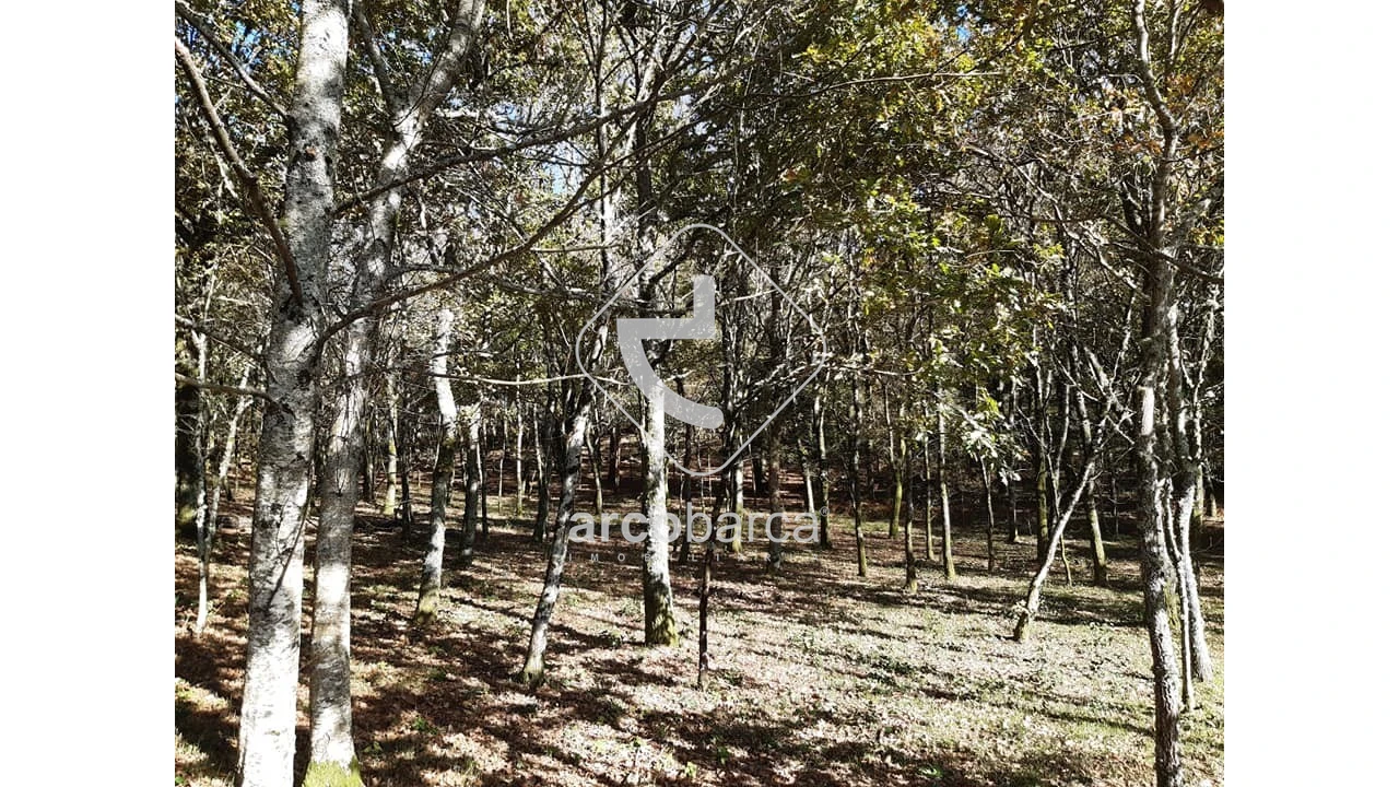 Terreno para Venda em Vascões Foto 6