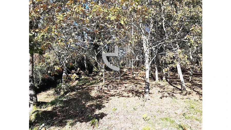 Terreno para Venda em Vascões Foto 2