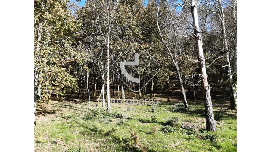 Terreno para Venda em Vascões Foto 4
