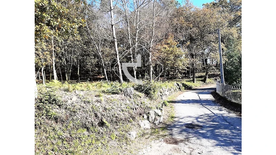 Terreno para Venda em Vascões Foto 12