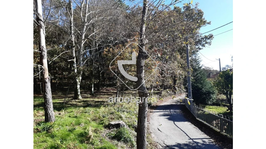 Terreno para Venda em Vascões Foto 3