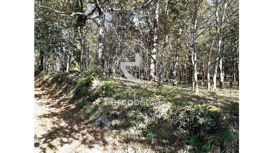 Terreno para Venda em Vascões Foto 13