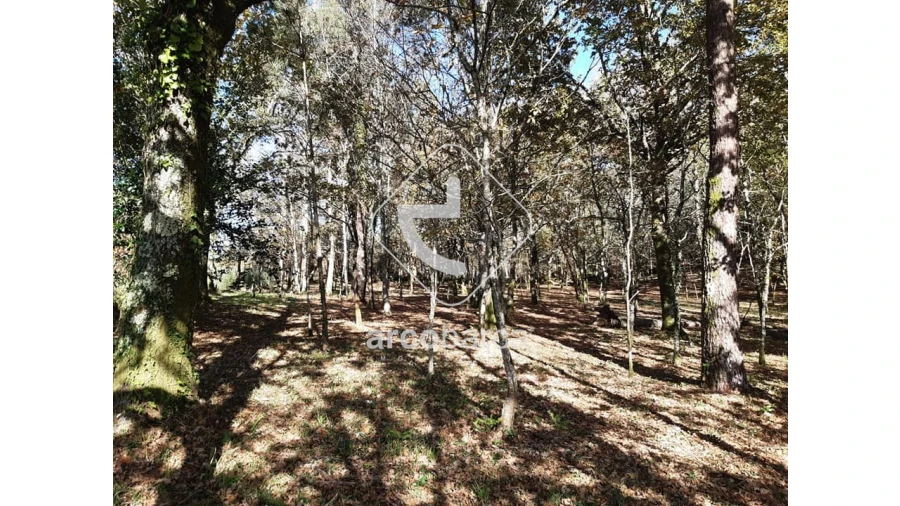 Terreno para Venda em Vascões Foto 5