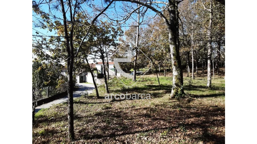 Terreno para Venda em Vascões Foto 9