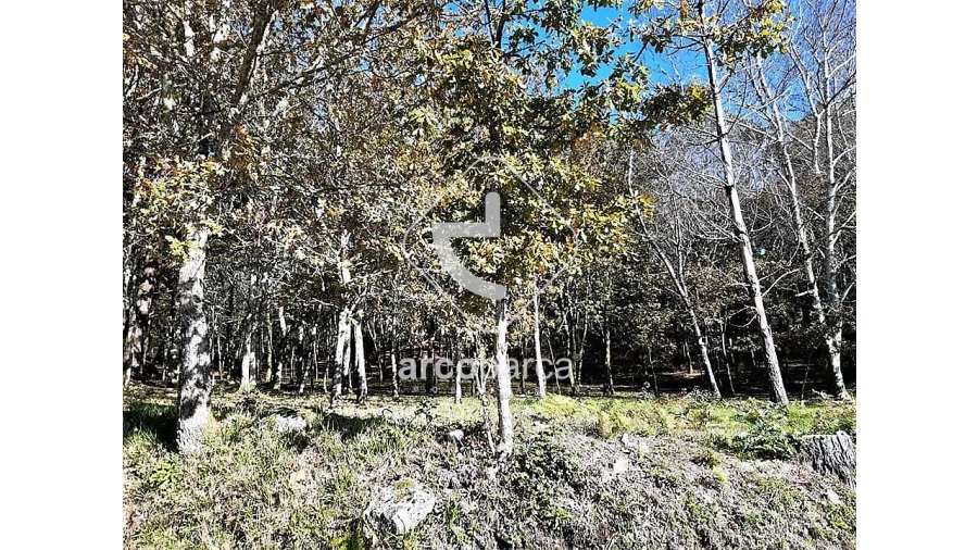 Terreno para Venda em Vascões Foto 11
