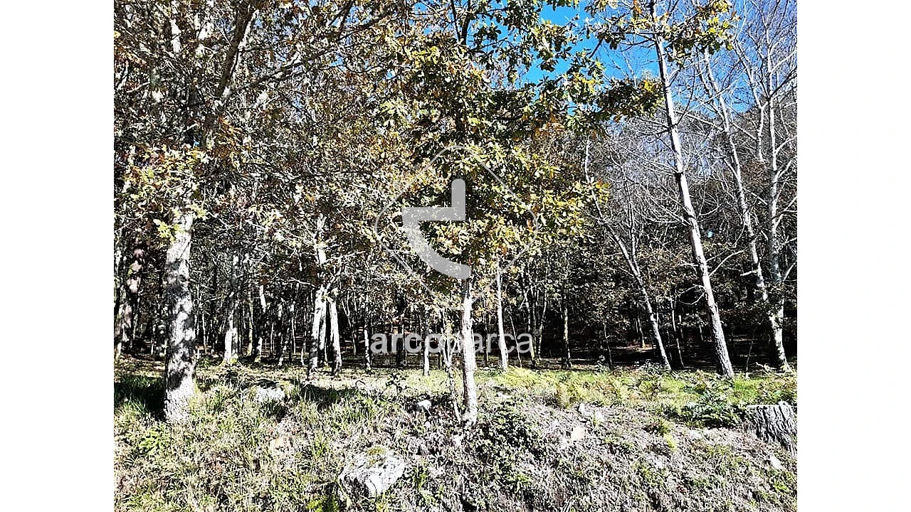 Terreno para Venda em Vascões Foto 11