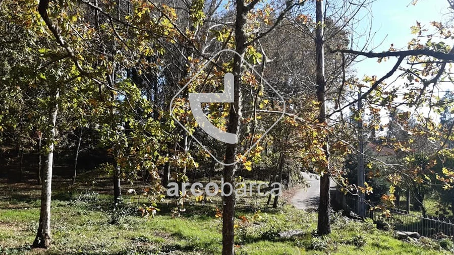 Terreno para Venda em Vascões