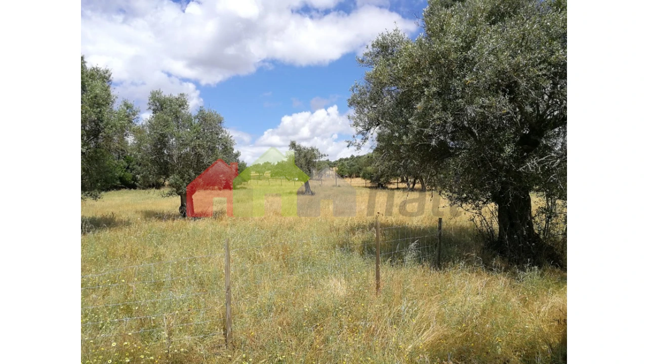 Terreno para Venda em Alcaçovas Foto 5